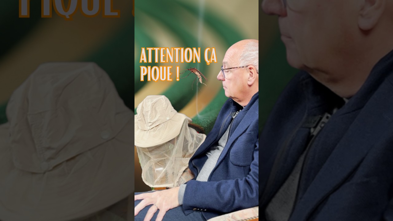 🌍 Santé & climat : comprendre les nouveaux risques