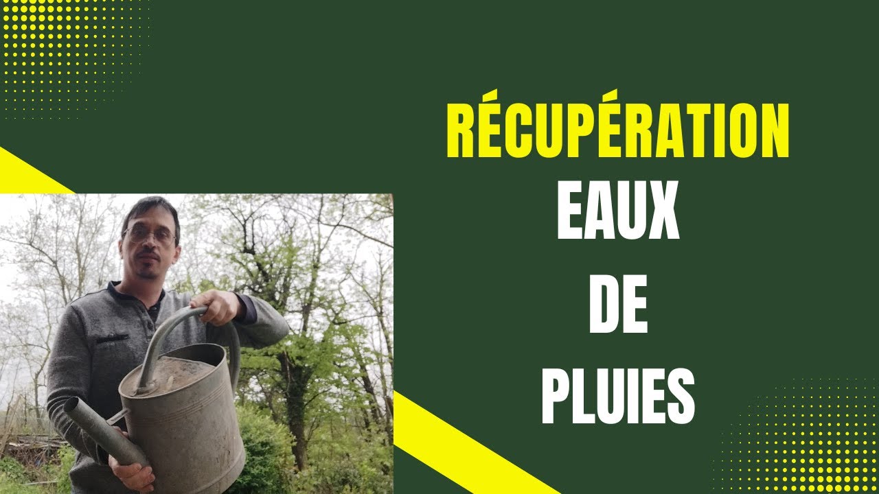 Comment récupérer l'eau de pluie pour son jardin ? Guide complet & astuces écologiques