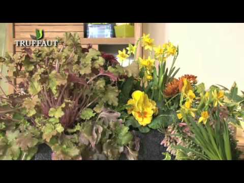 Quelle jardinière choisir ? -  Truffaut