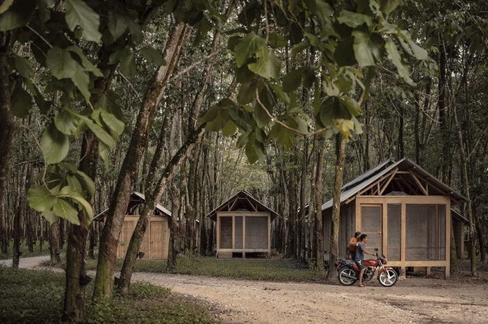 Cabane enfant bois : choix, sécurité et installation