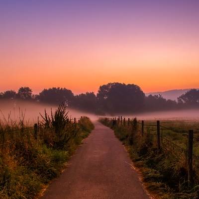 Misty rural road at sunrise with trees